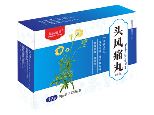 頭風(fēng)痛丸